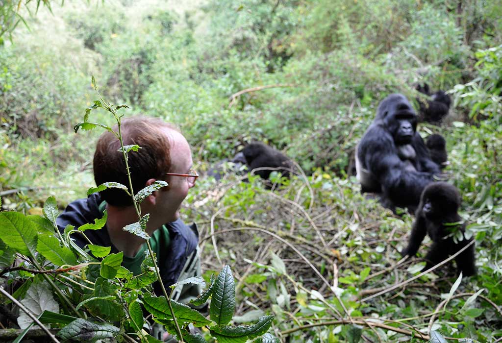 4 Days Uganda Gorilla & Golden Monkey Trekking Safari